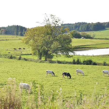 In Near Forest & Pond Bièvre